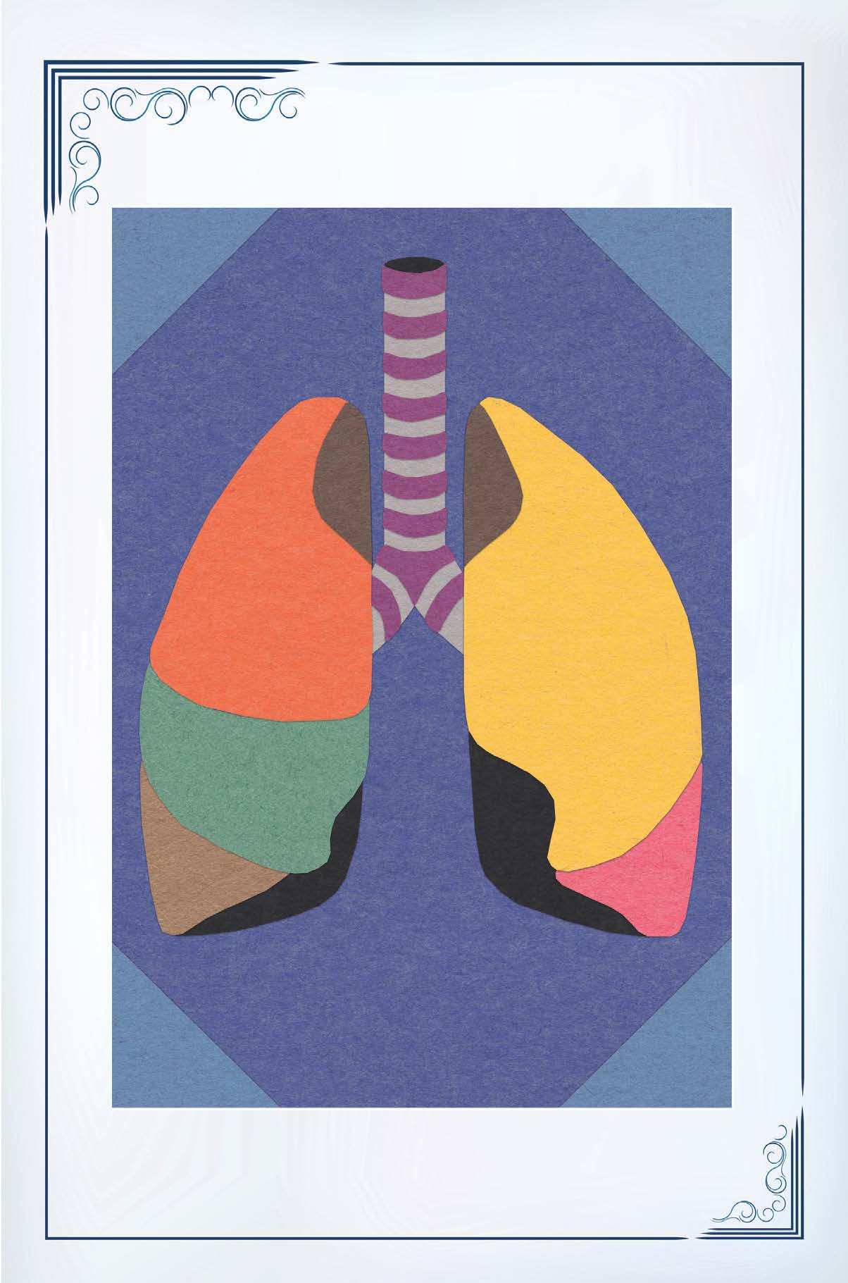 Lung-themed Blank Cards - 12 pack
