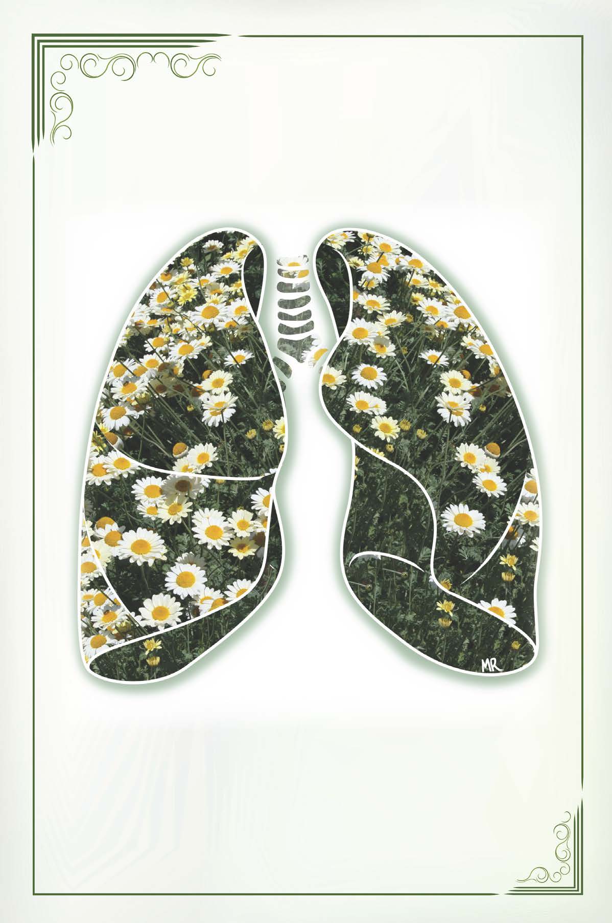 Lung-themed Blank Cards - 12 pack