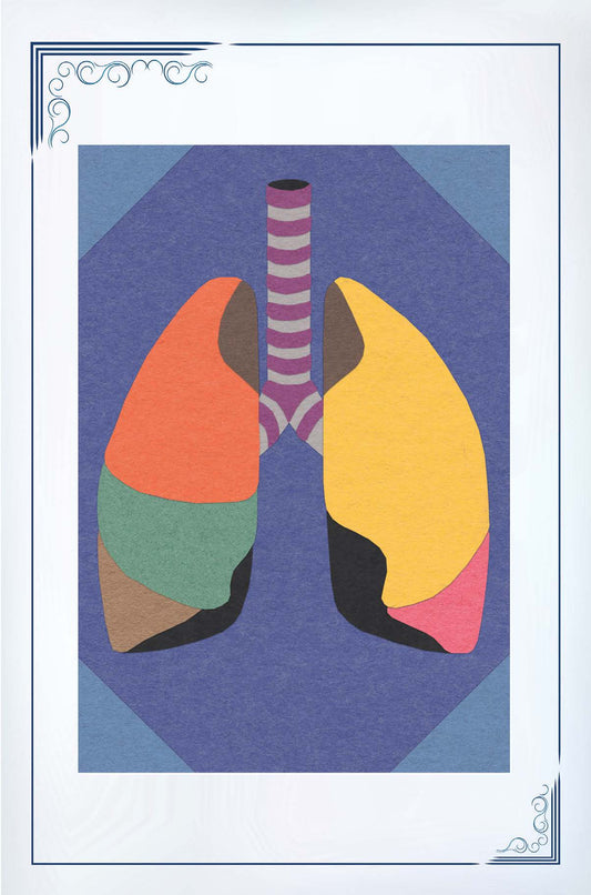 Cartes vierges sur le thème des poumons - paquet de 12